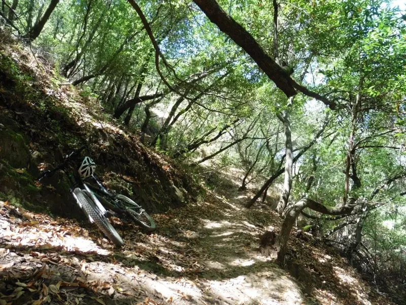 More OG Trail.webp