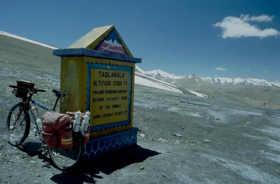 india309.webp