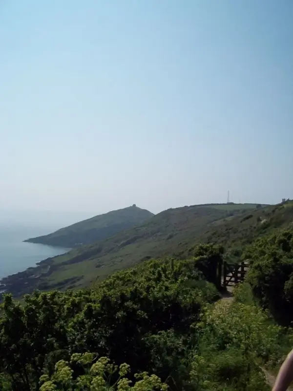 100_0826.webp