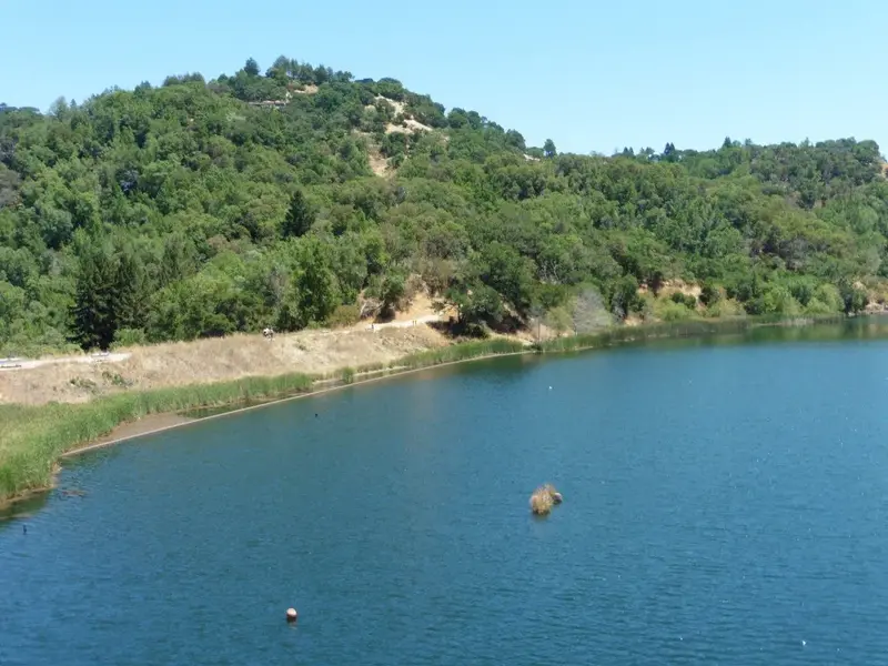 Phoenix Lake.webp