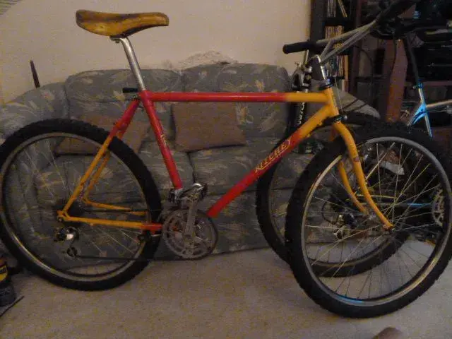 Ritchey 001.webp