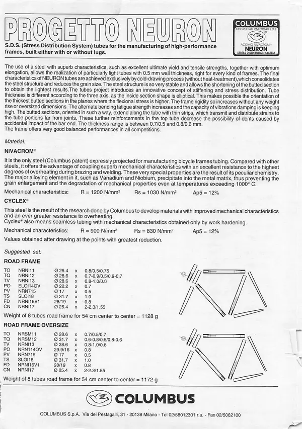 Neuron-1.webp