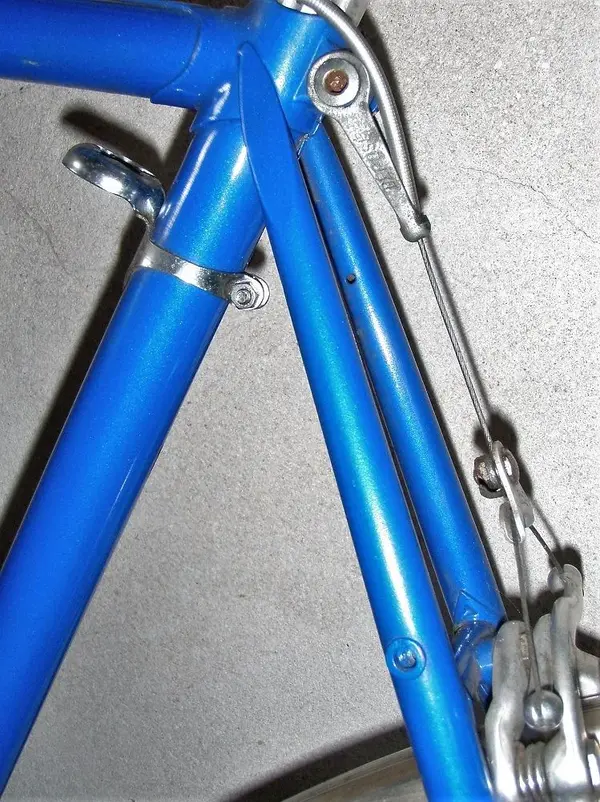 P8010086 (2).webp
