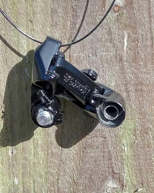 IMAG4981_1.webp