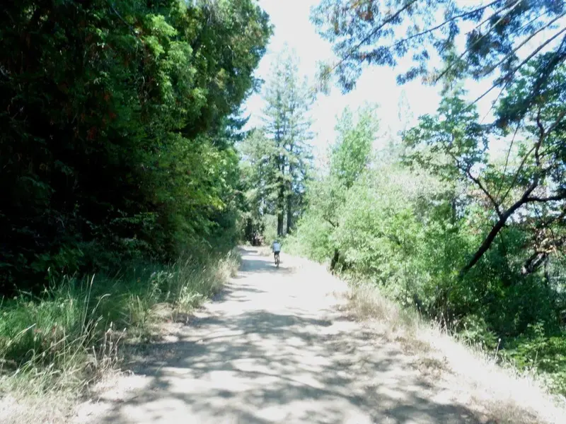Concret Pipe fire road.webp
