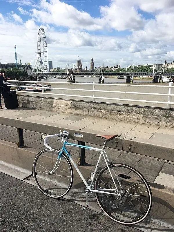 bridge800.webp