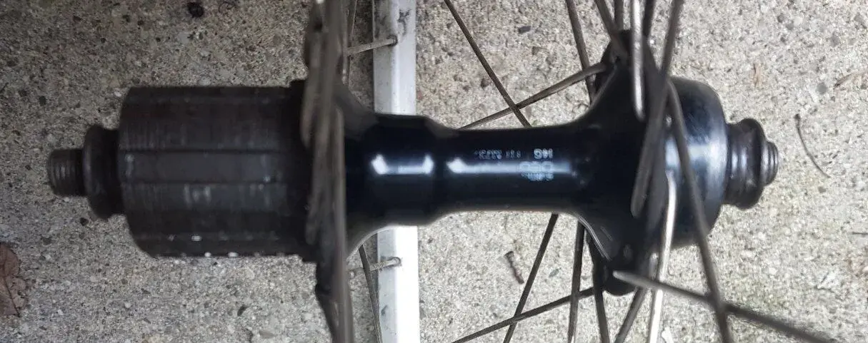 xt rear.webp