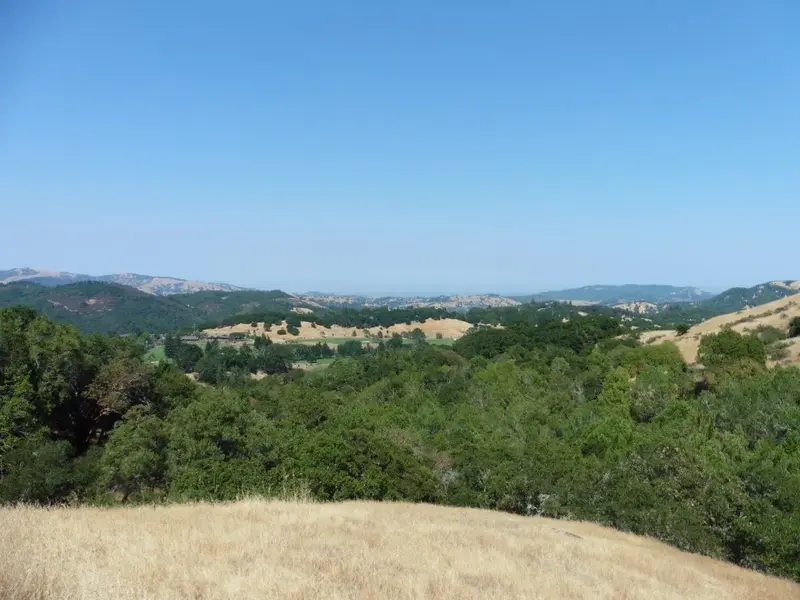 View from the top.webp