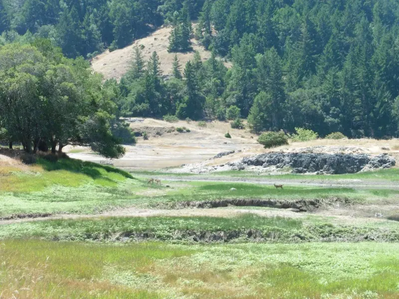Dry inlet to Alpine Lake-with deer.webp