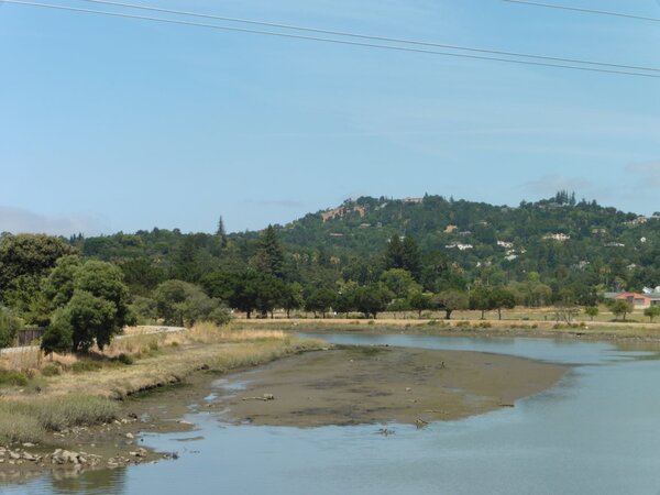 Corte Madera creek view.jpg