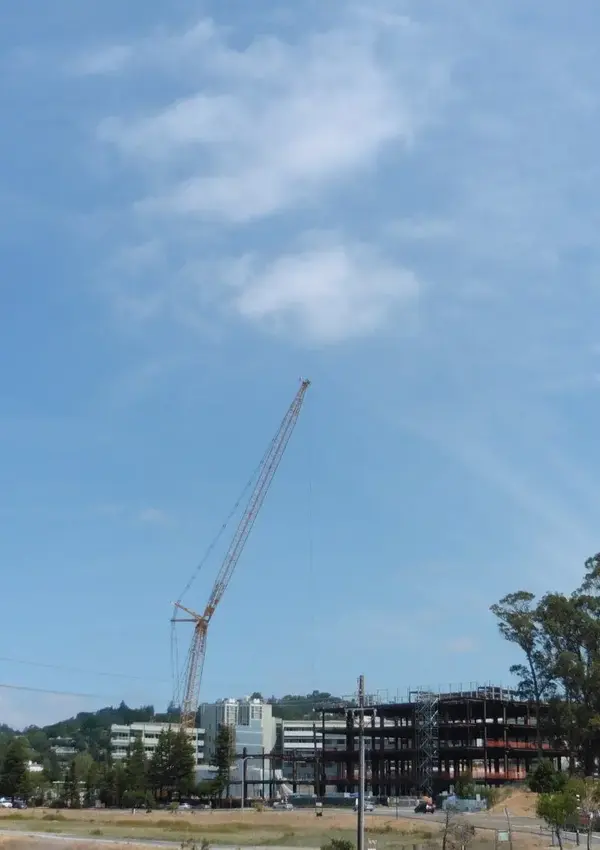 Big crane.webp