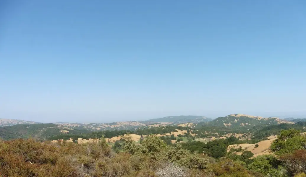 Looking east from 1200'.webp