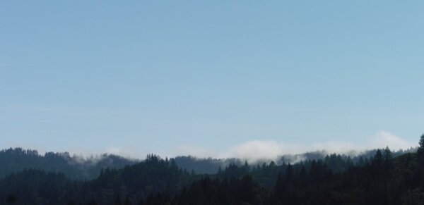 Fog on the ridge.jpg