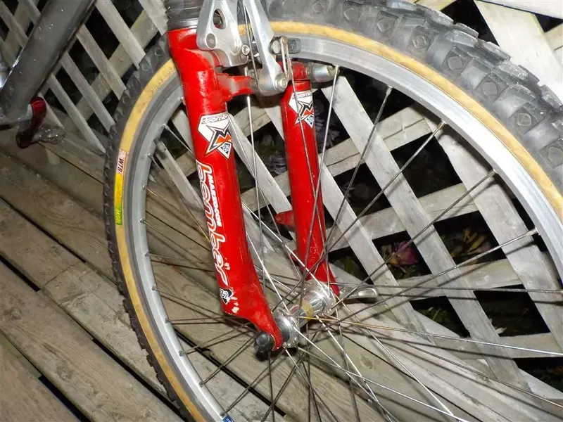 DSCN3443 (Medium).webp