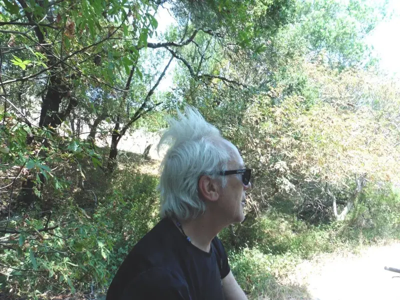 Helmet Hair.webp