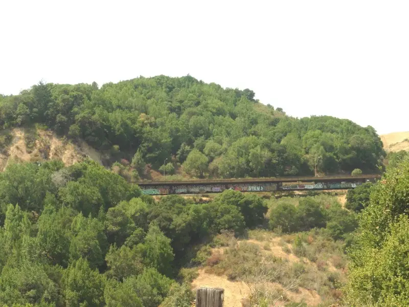 Bridge on White's Hill.webp