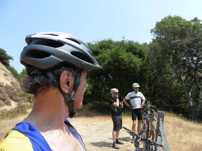Me, Larry, Warren.webp