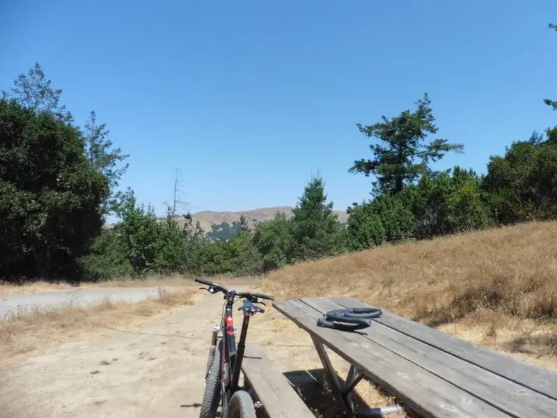 Why I ride tubeless.webp