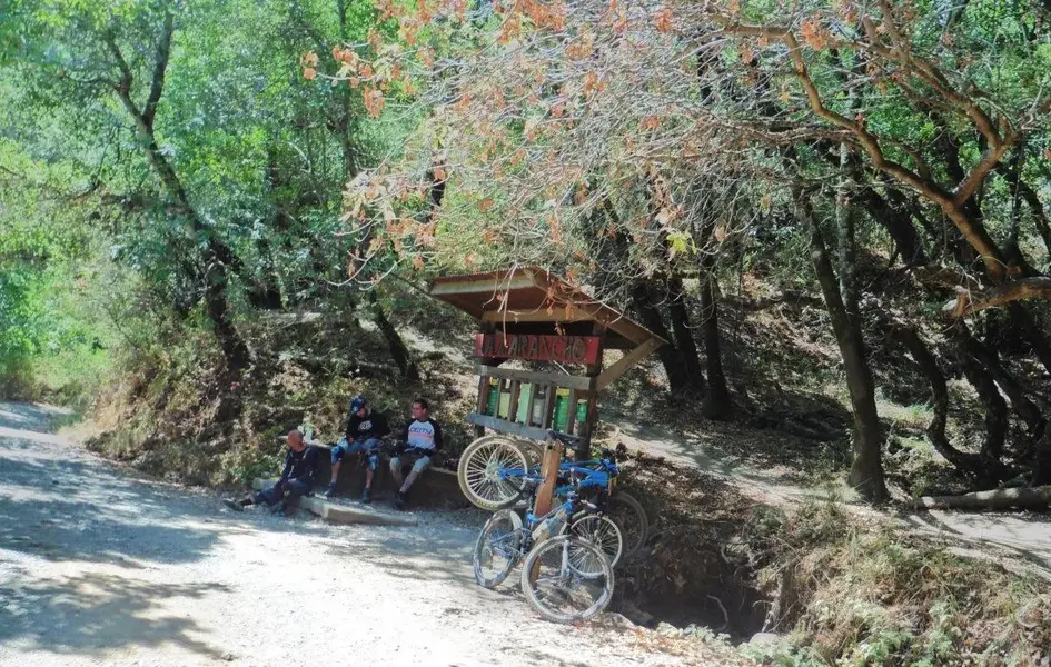 Alchemist Trail.webp