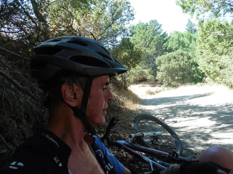Hot and sweaty at the top.webp