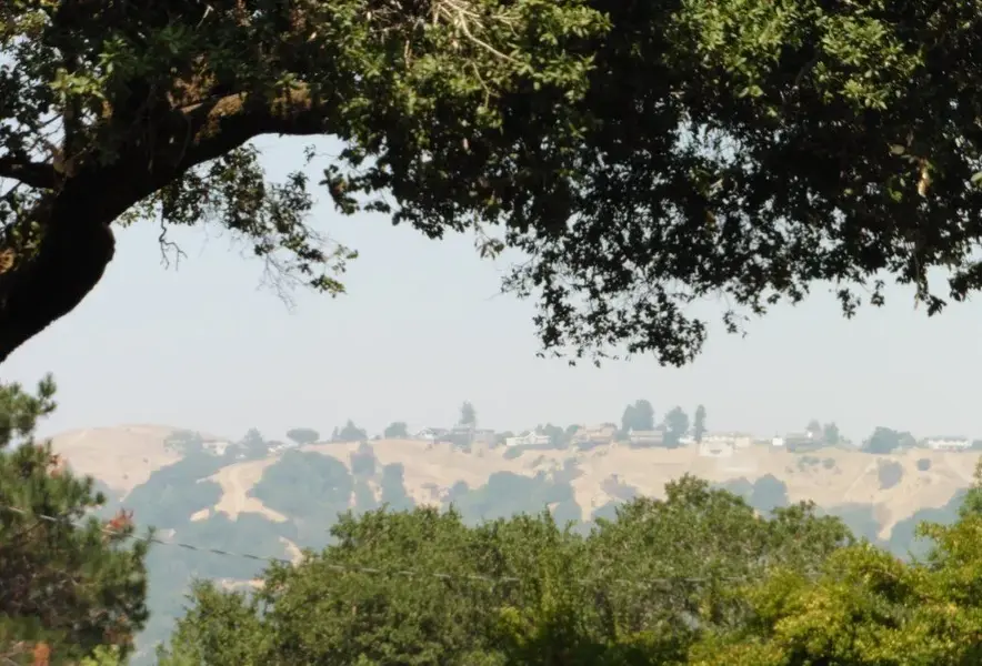 Ridgetop to the North.webp