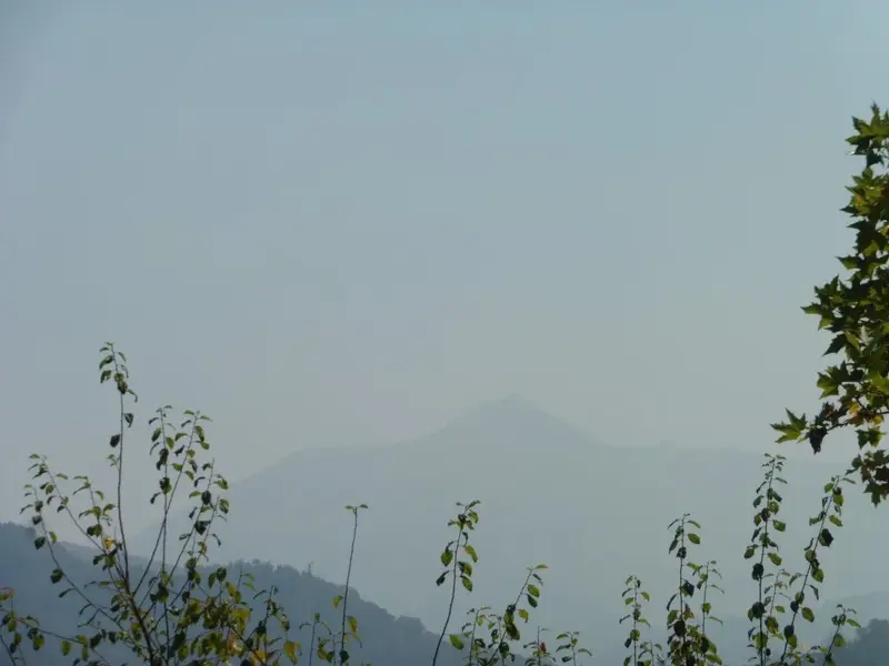 Tam through the Haze.webp