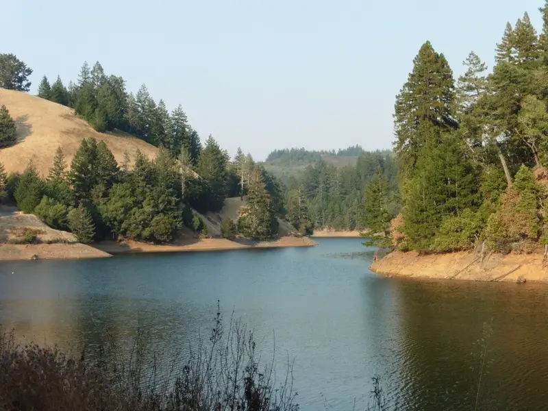 Alpine Lake.webp