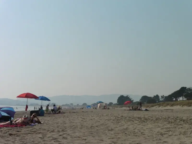 Sea Drift end of Stinson Beach.webp