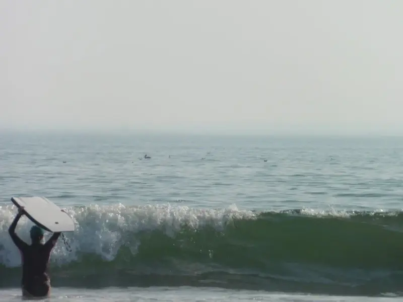 Surfing.webp