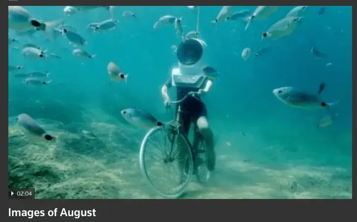 Wet August.webp