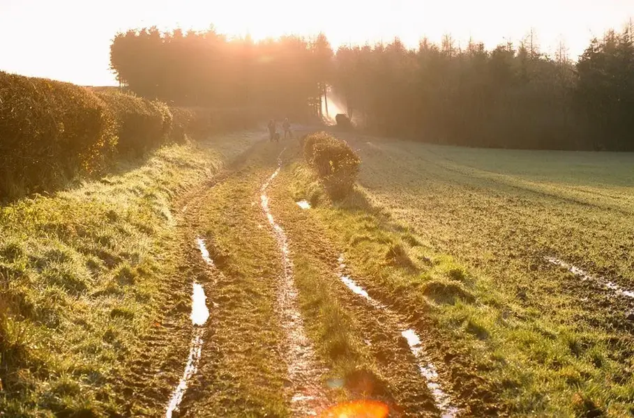 Chilterns 1984.webp