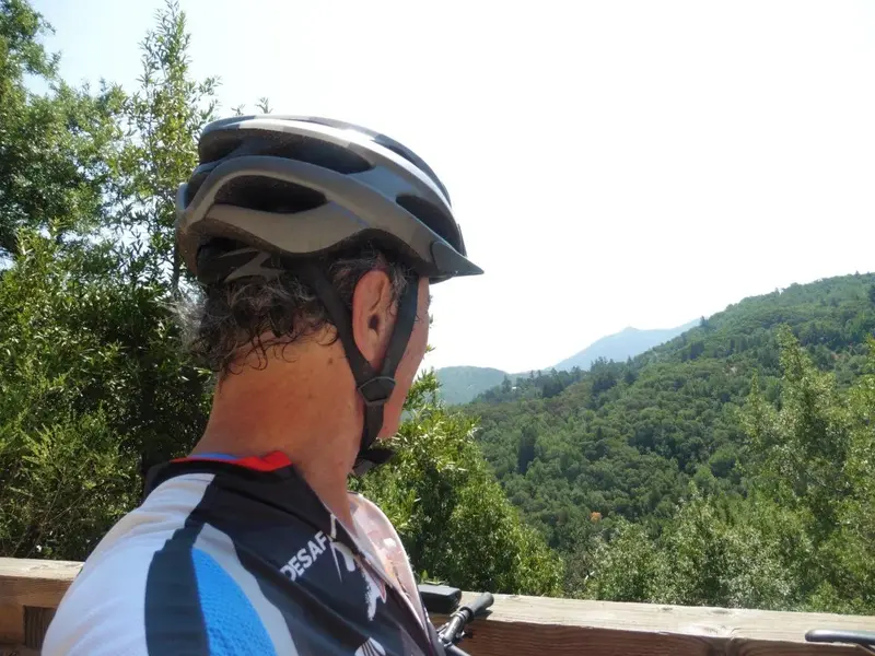Mt. Tam.webp