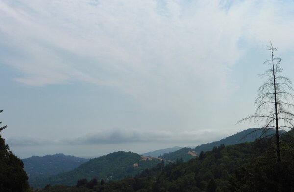 Hills of Marin.jpg