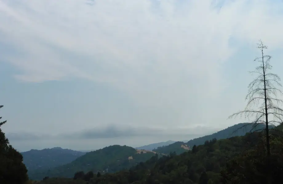 Hills of Marin.webp