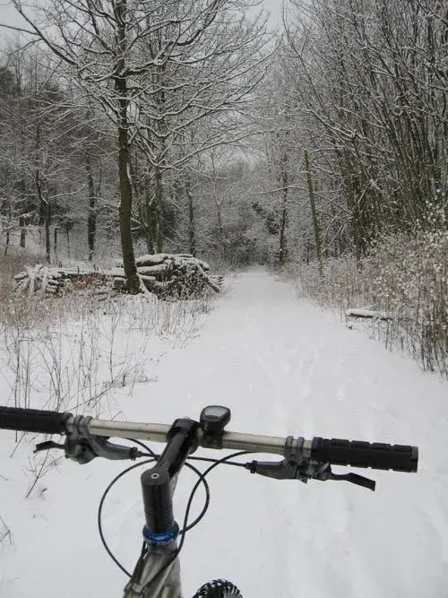 Snow1.webp
