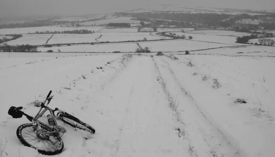 South Downs.webp