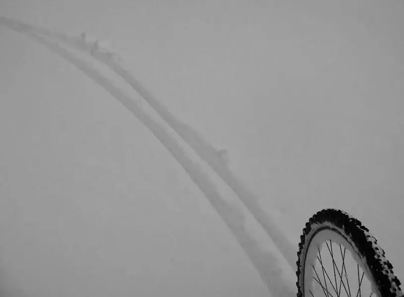 Tracks.webp