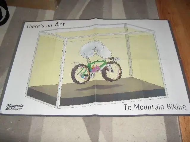 Mint.webp