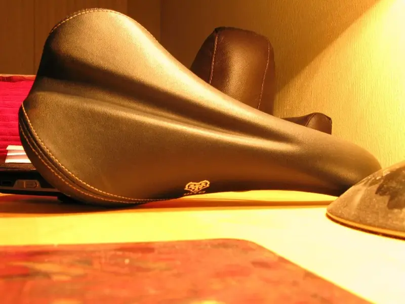 WTB Rocket V Top.webp