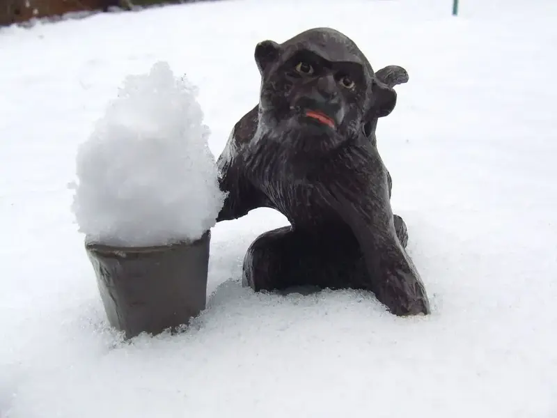 Snow_Fun_Being_A_Monkey.webp