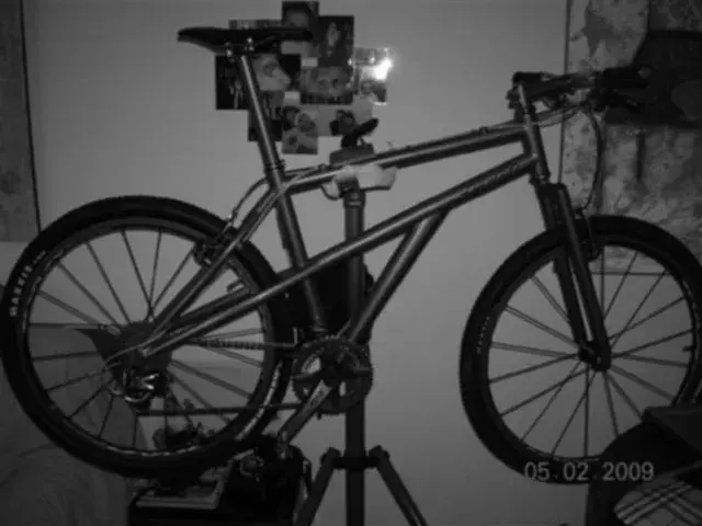 DSCN5154.webp