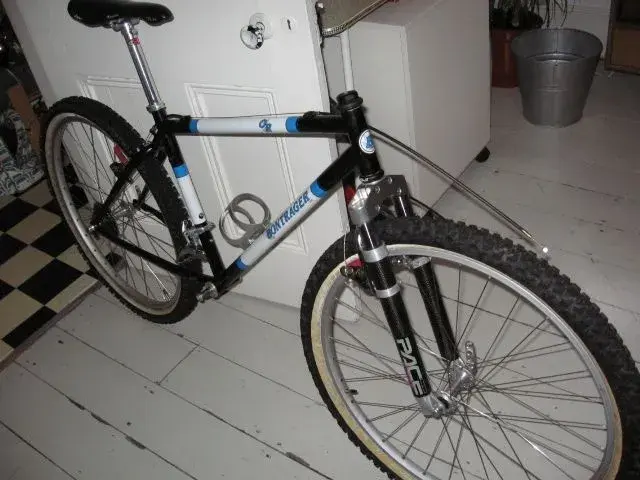 bonty 010.webp