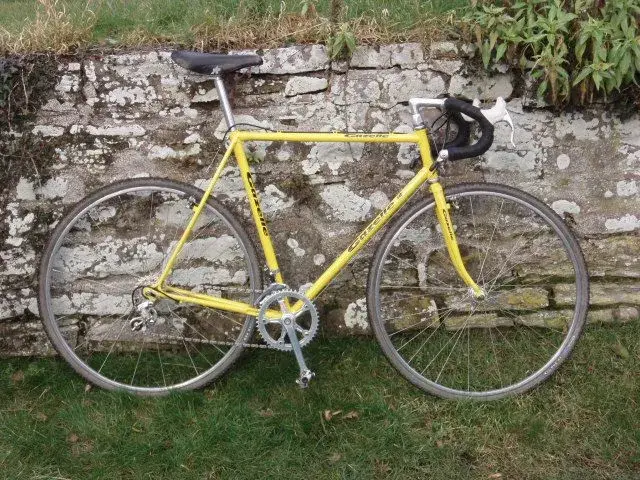 Gazelle Trophy Cross.webp