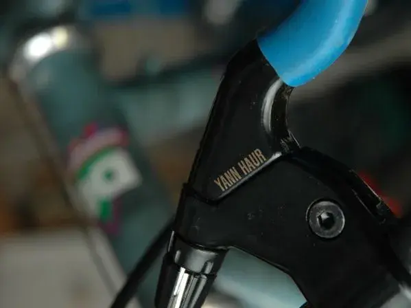 Welsh Brakes.webp