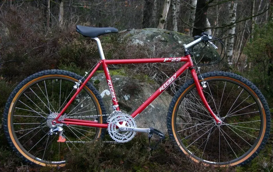 Ritchey 20.webp