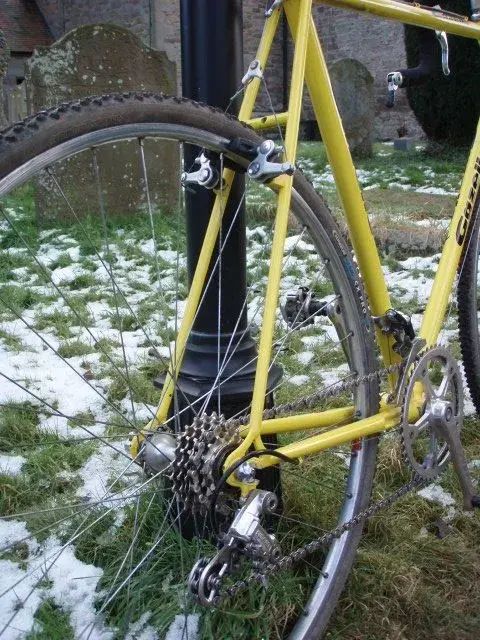 Gazelle Trophy Cross cantis.webp