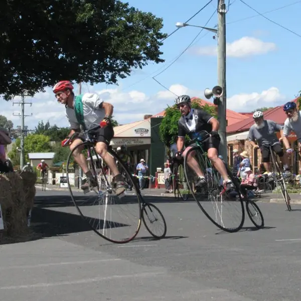 Penny Farthing races.webp
