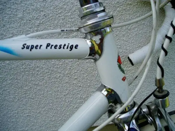 Tommasini_2.webp