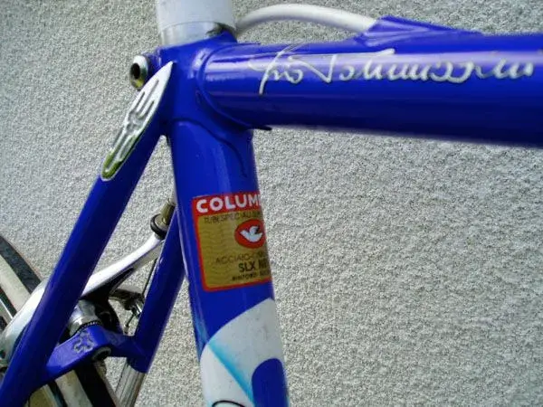 Tommasini_3.webp