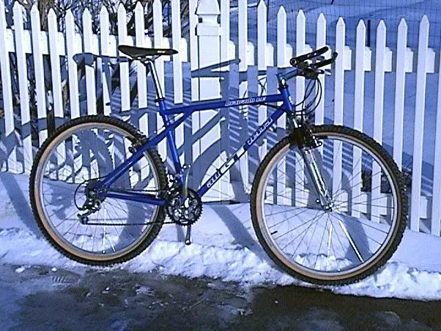 DSC00311.webp